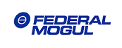 Federal Mogul